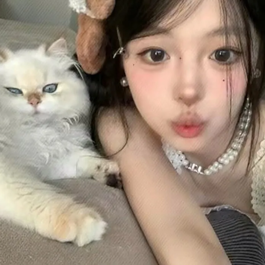 醉聆江南意