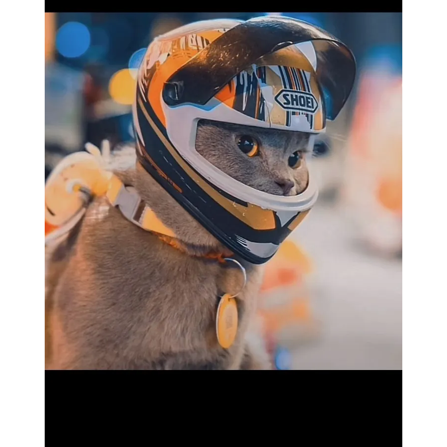 她她她