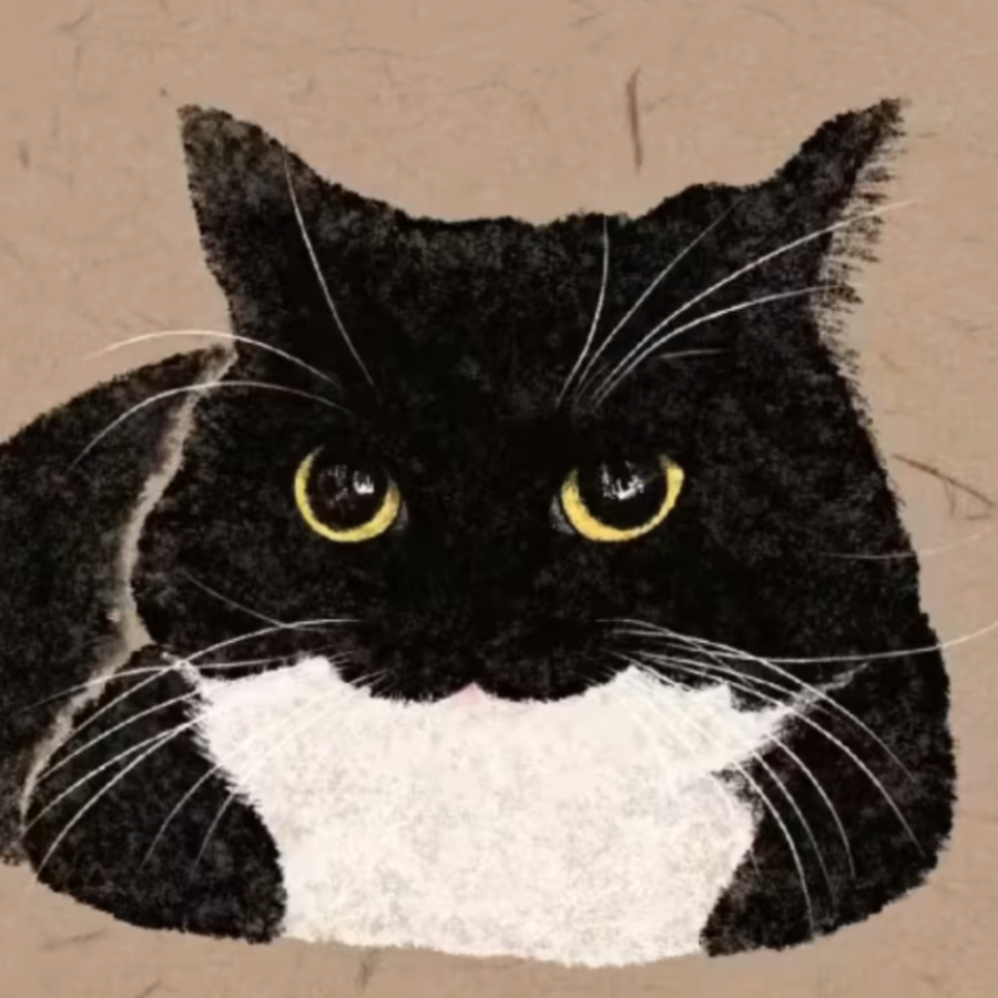 猫巷拿铁