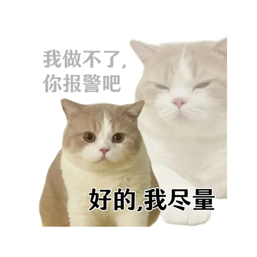 孤