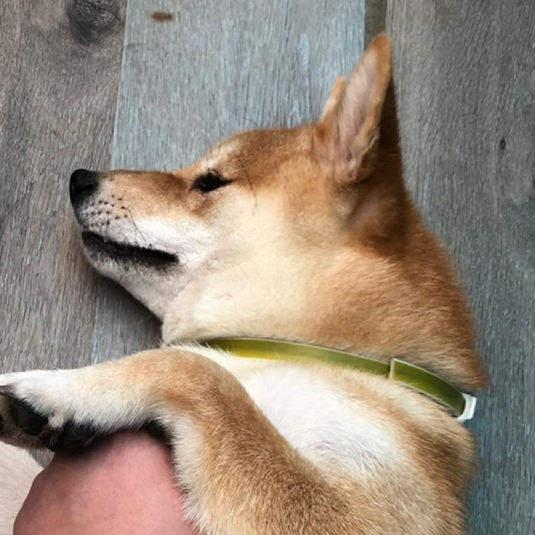 微笑