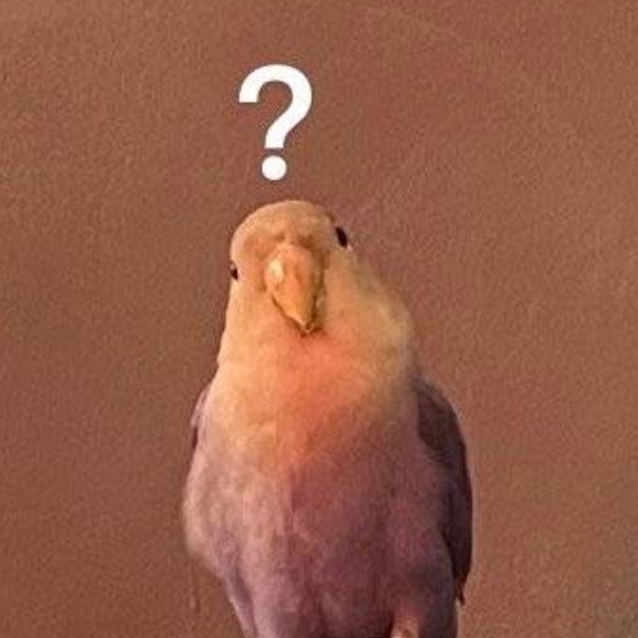 郑也觉得