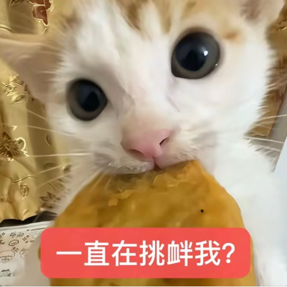 白婧