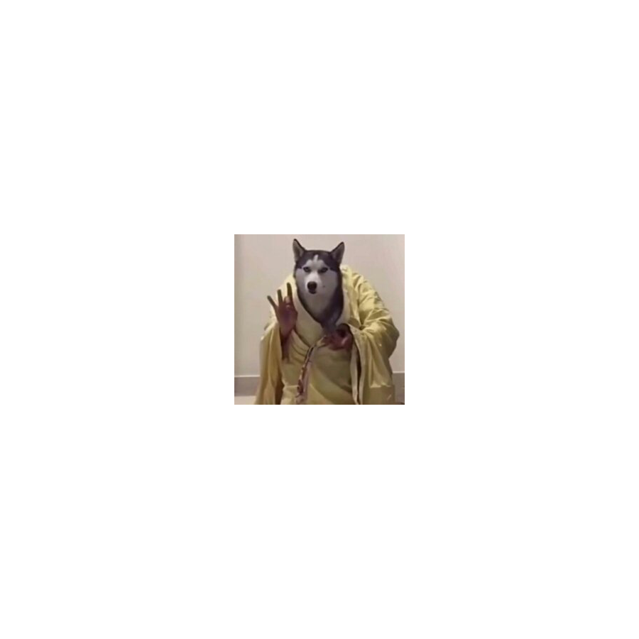 淼