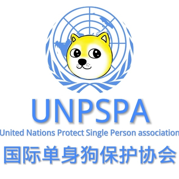 UNPSPA_十年