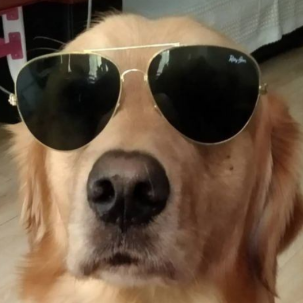 虾仁猪心