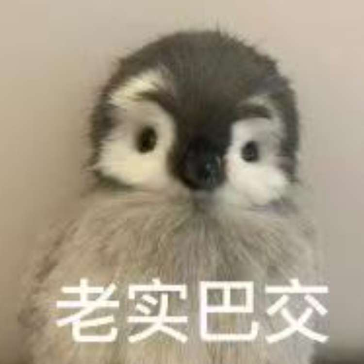 沐琛淅