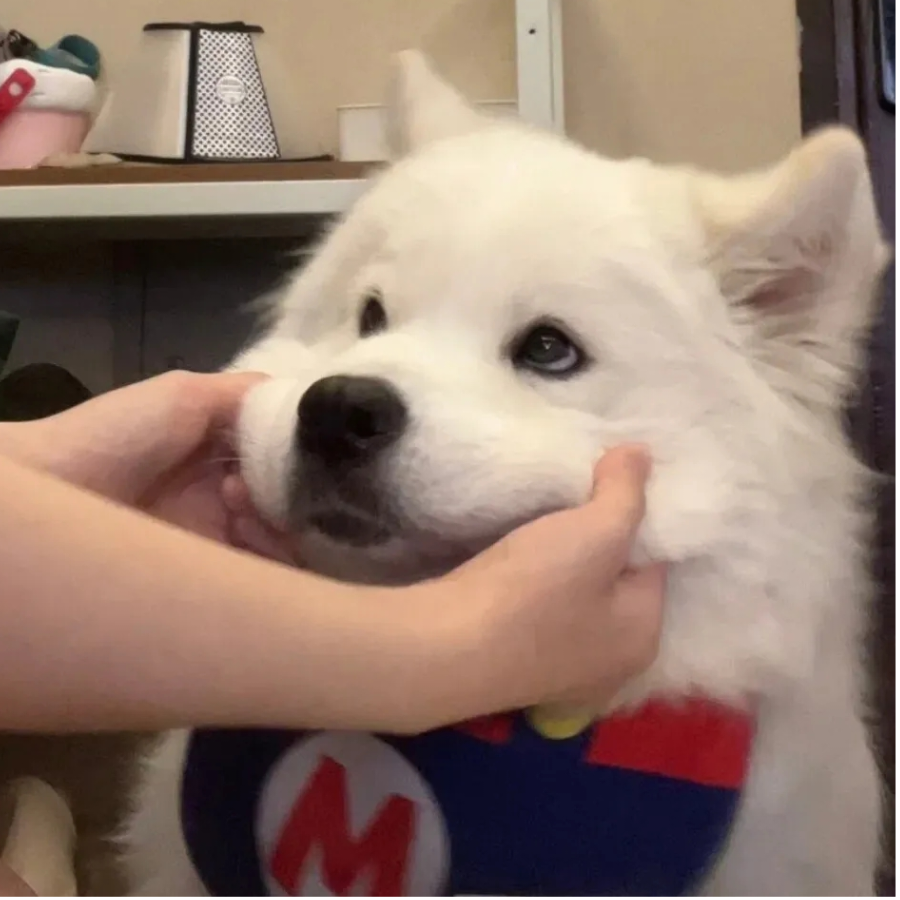 吴吴吴吴吴