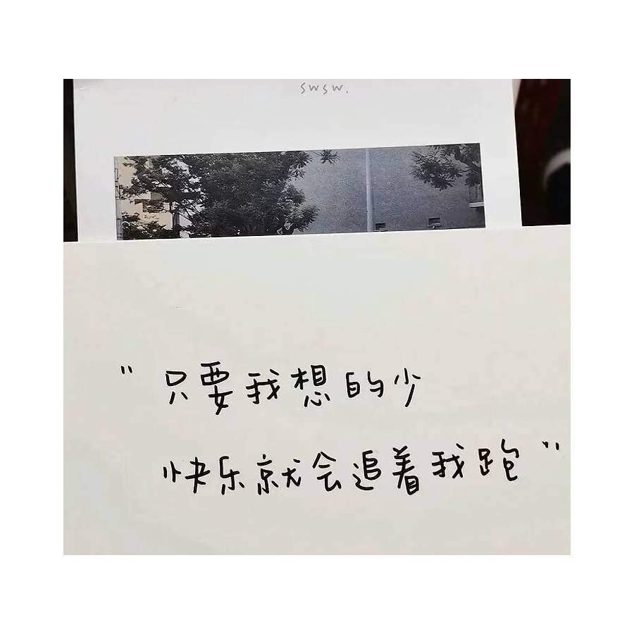 南航极雪