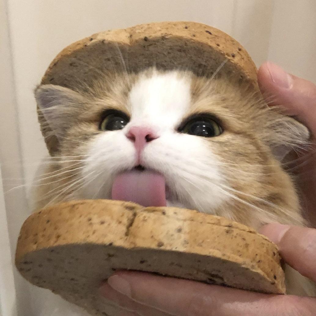 逗你