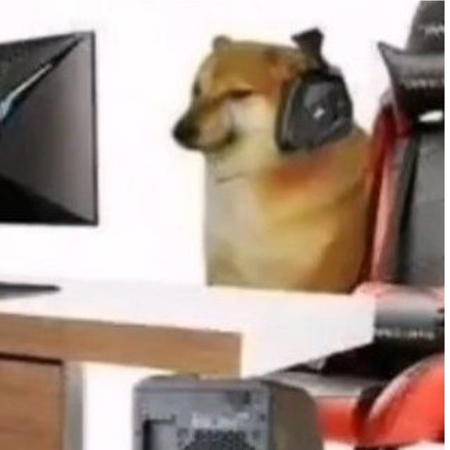 Rare.fox