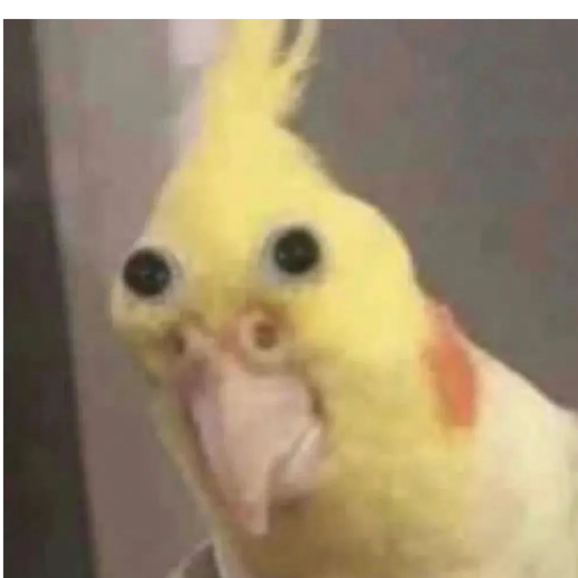 ଲଇଉକ
