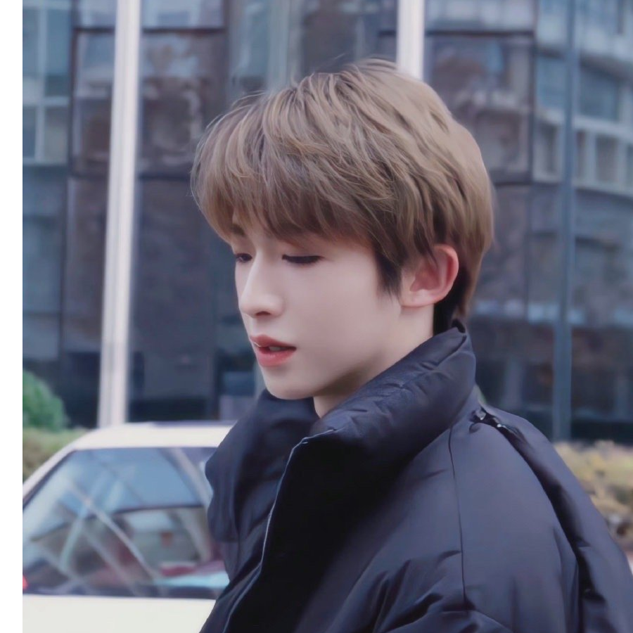 鲨鲨