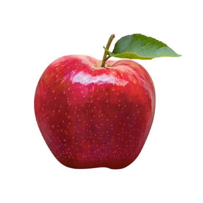 Appleman