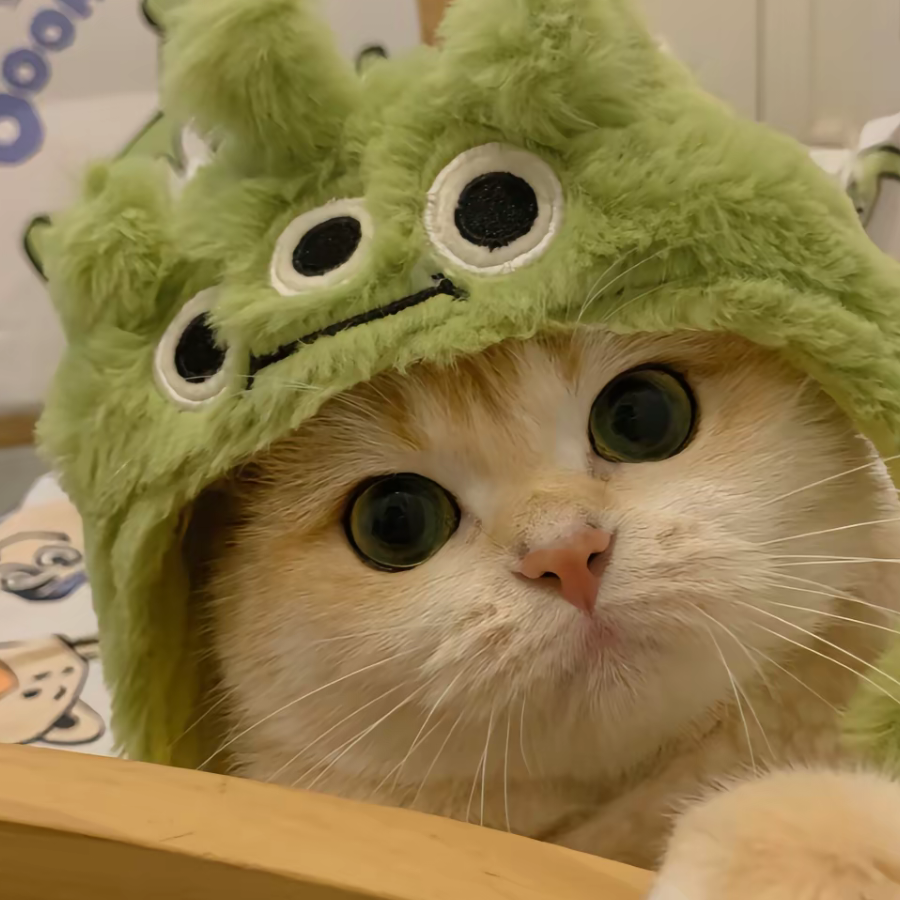 烦烦烦