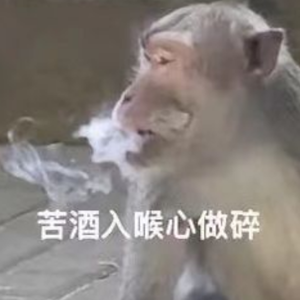 砂锅