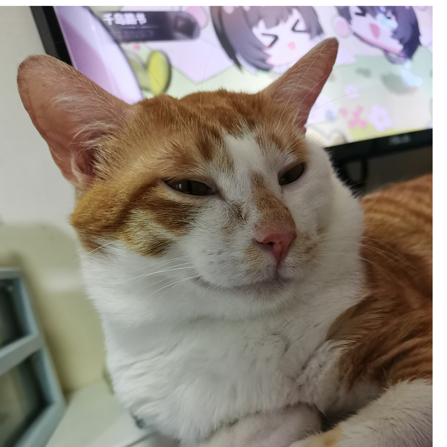 雁飞