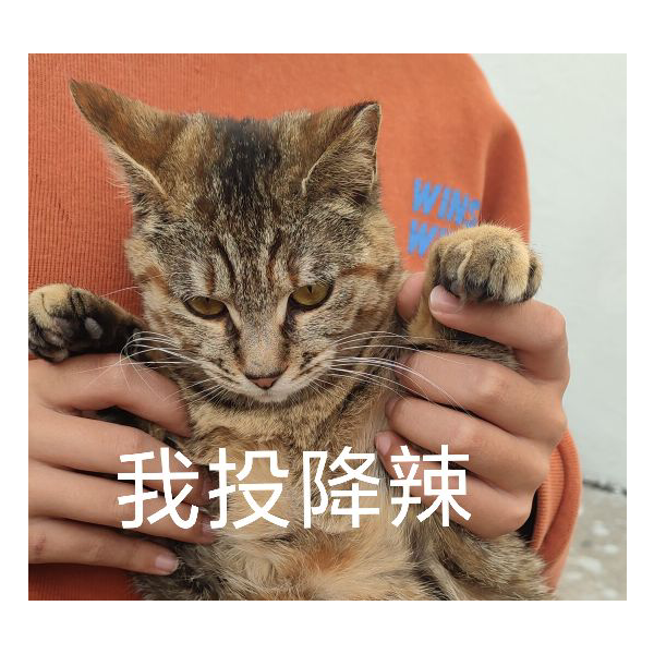 cccg