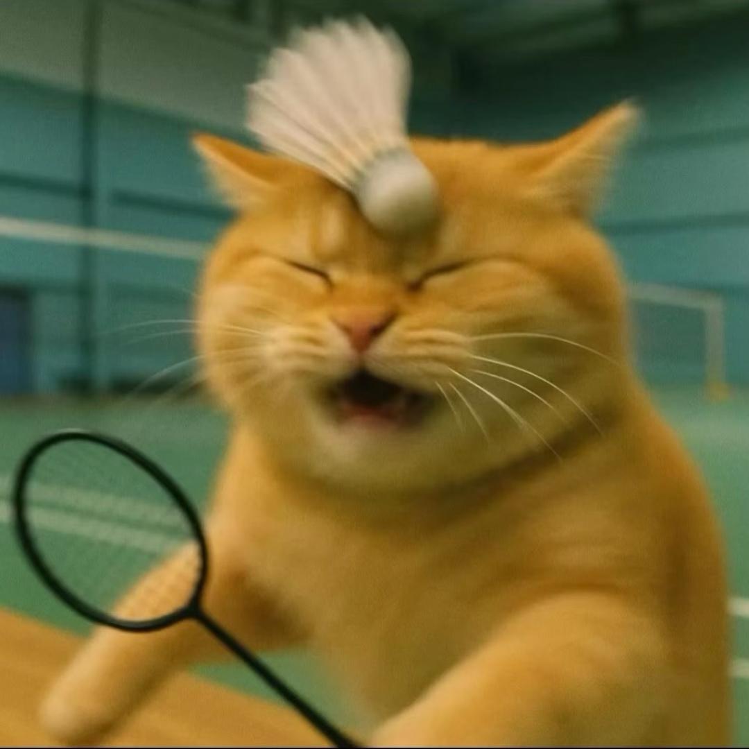 叼着猫的小鱼干