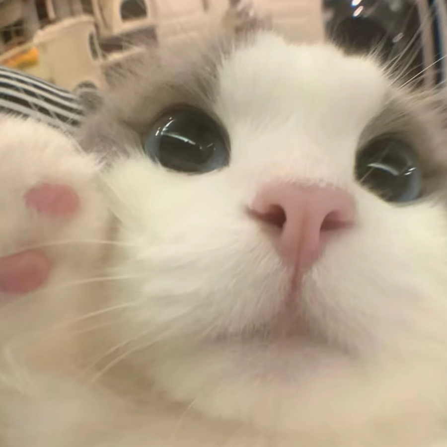 ^小鱼^