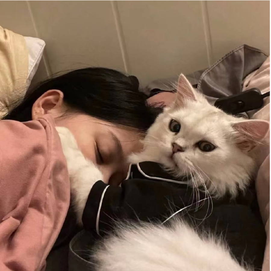 月亮