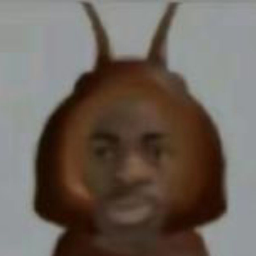随便