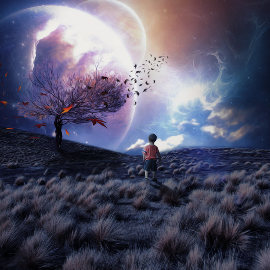 仰望星空的小虫