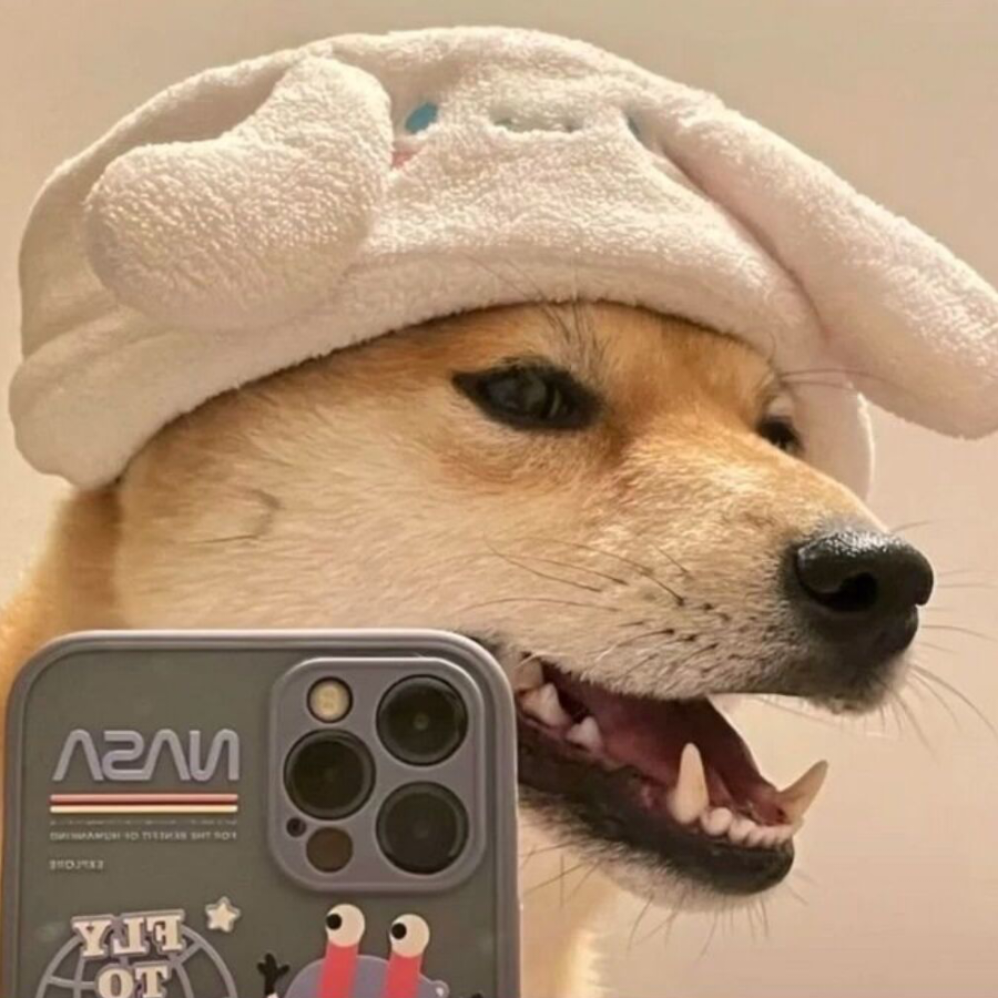 张思林