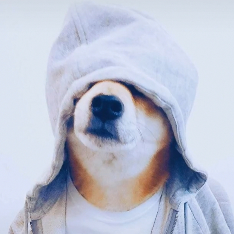 辛夷
