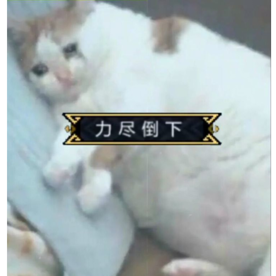 咕咕