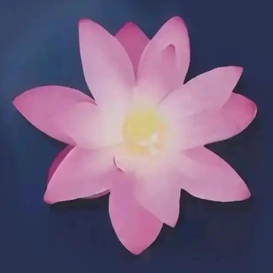组一辈子乐队
