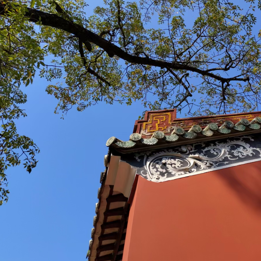 石榴