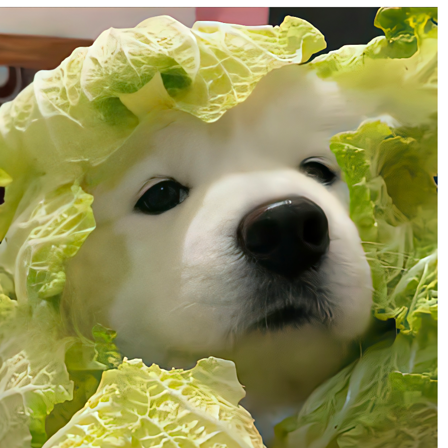 孔明灯