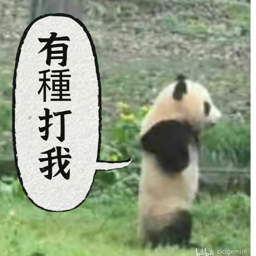 今日的风儿甚是喧嚣