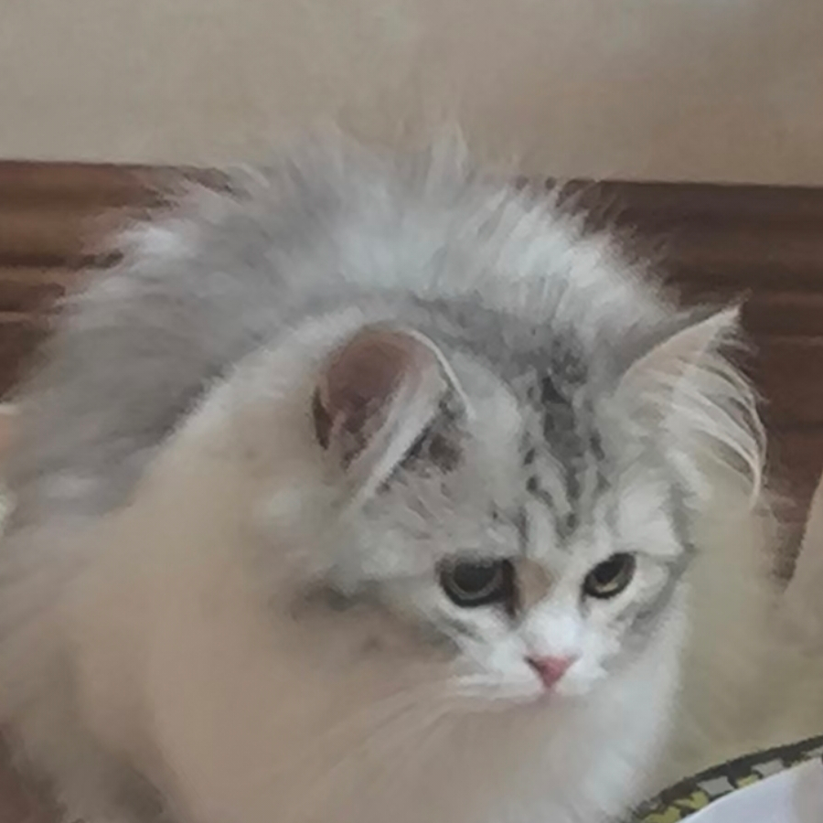 吔
