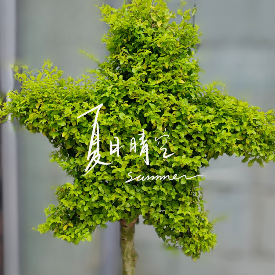 天空之境