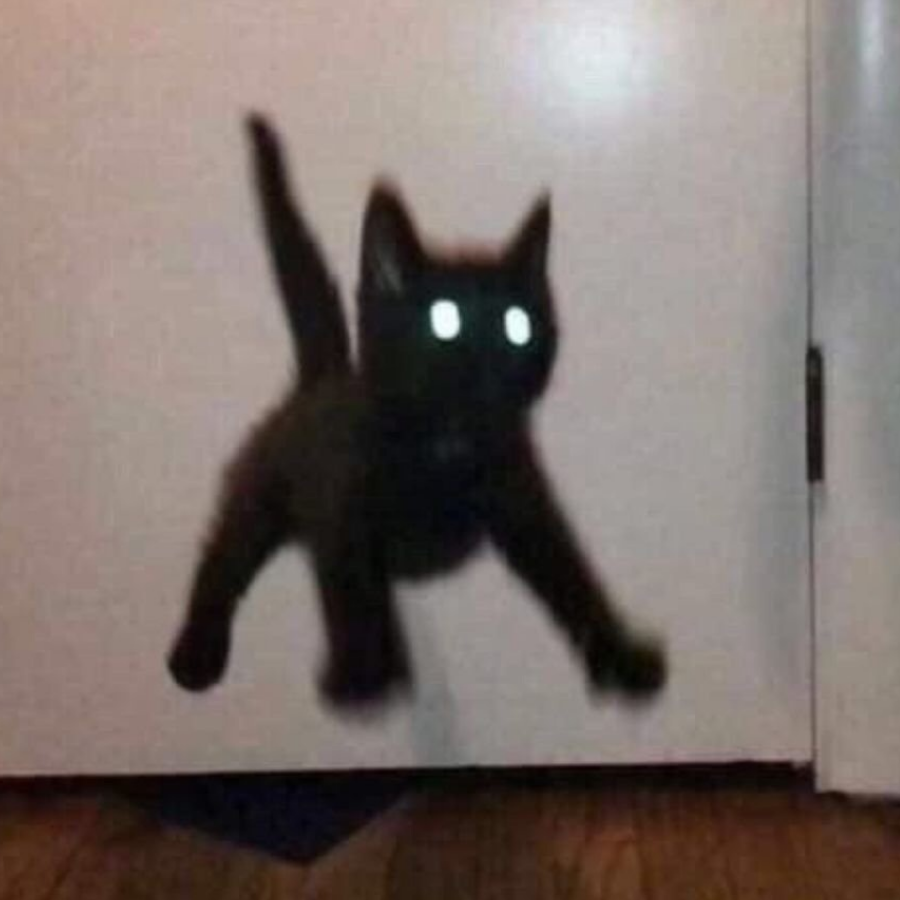 猫猫有威名