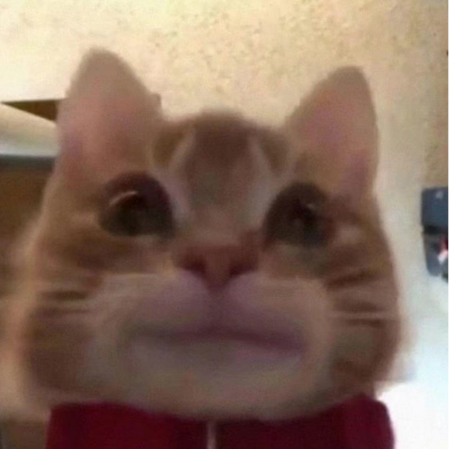 阿飞