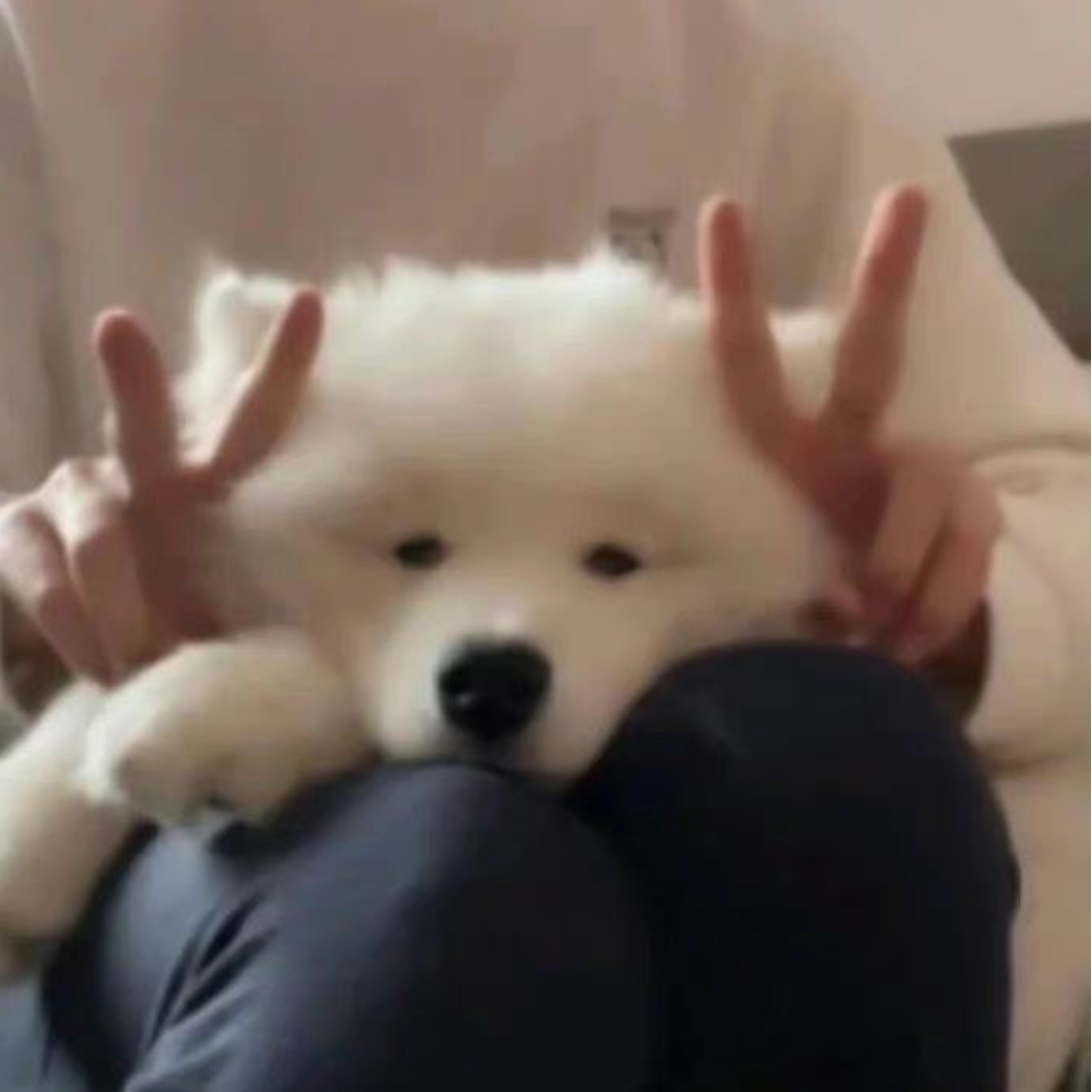 山海