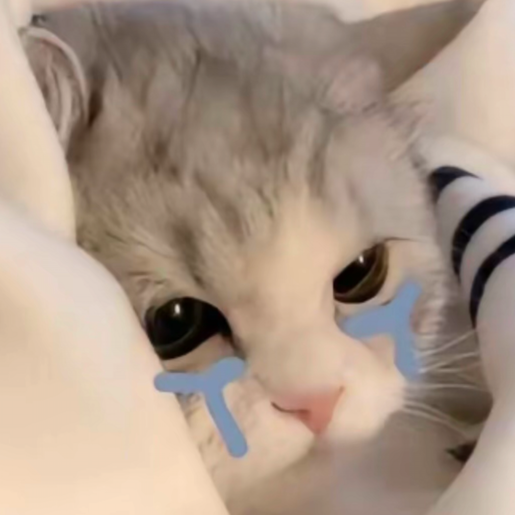张玄策哈