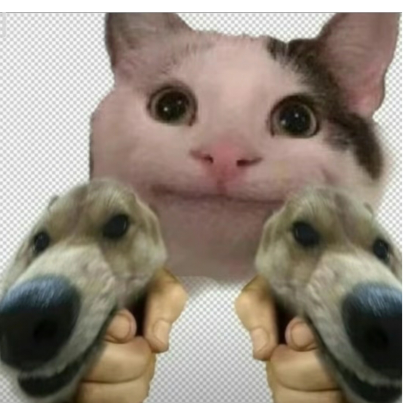 。。。