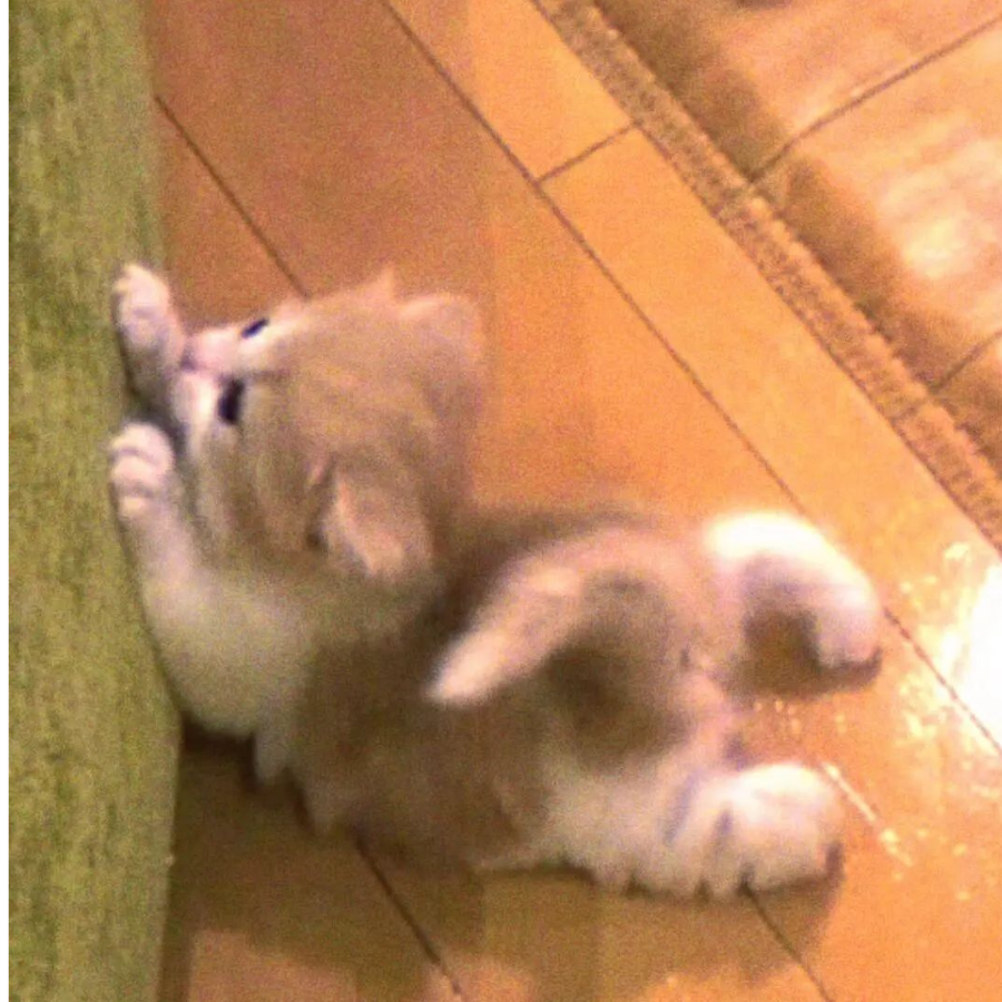 。。。。