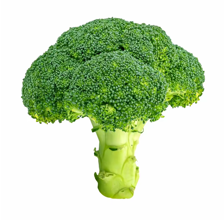 纯情少萝牛爷爷