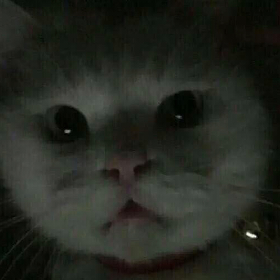 太子李显