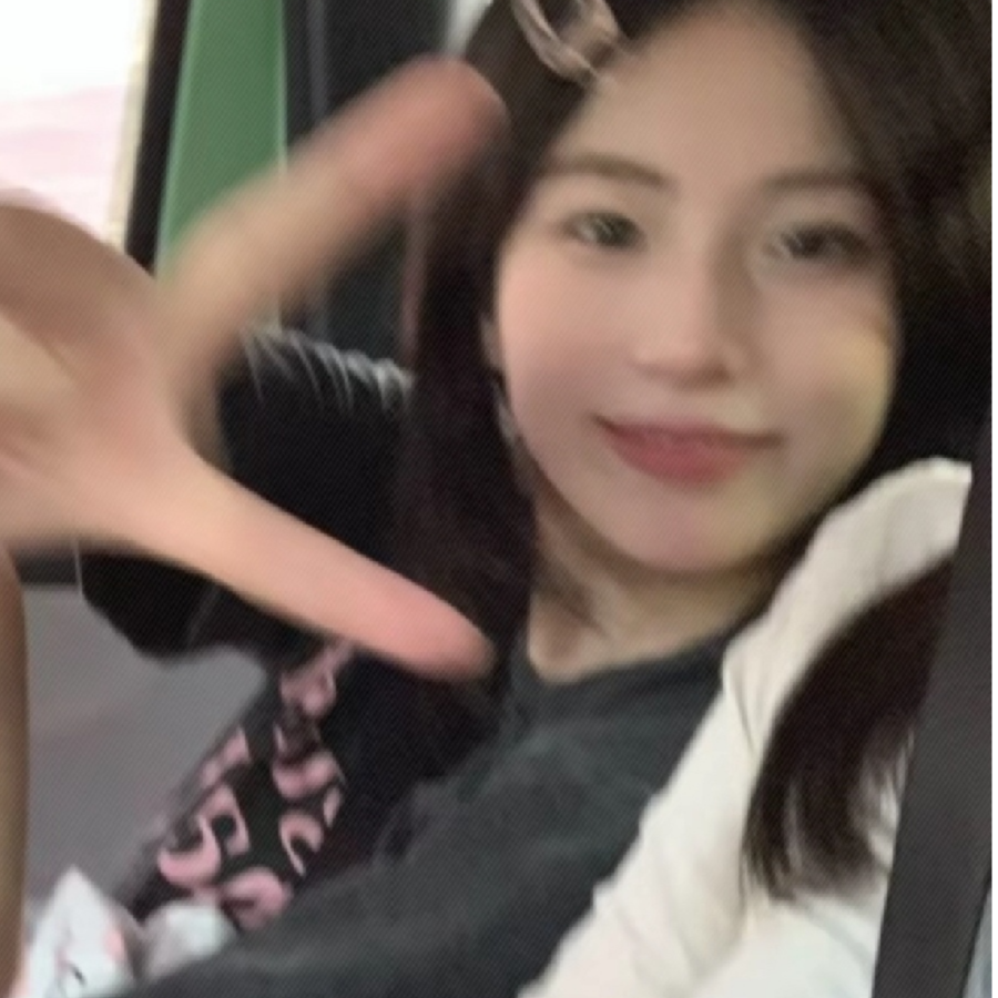 遇见一只猫