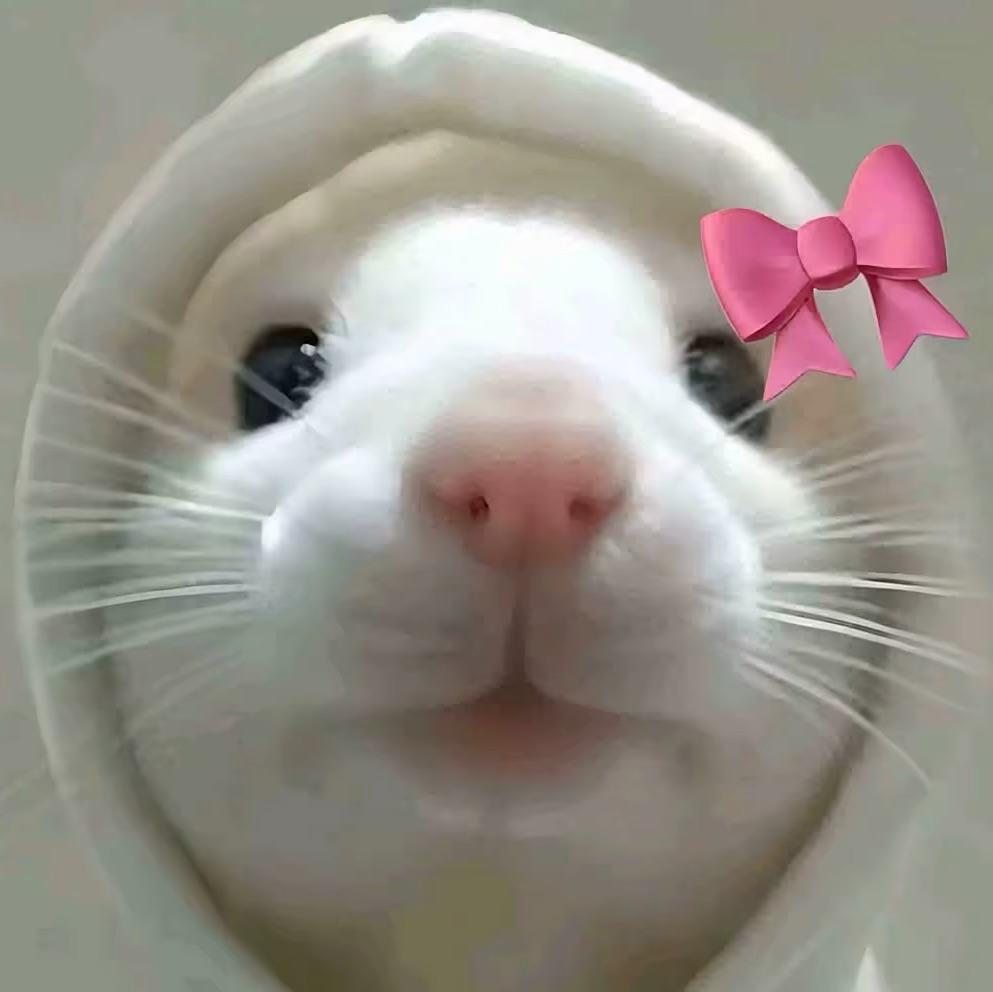 心与心/.