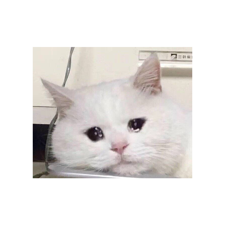 洛洛水秀