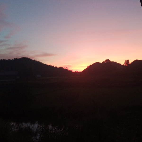D上岸