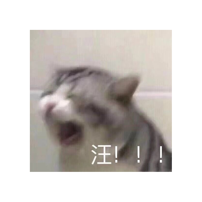 地球猫猫教教主