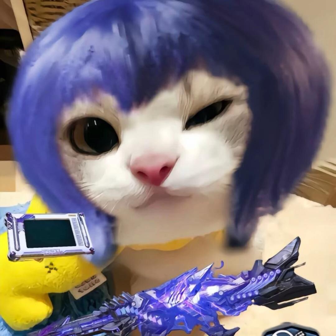 猫七